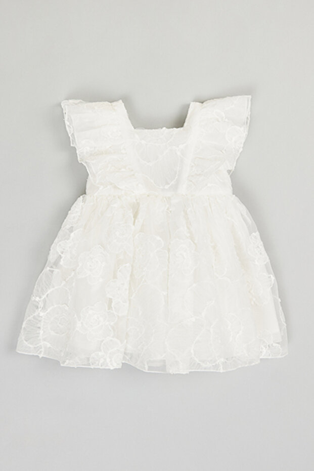 Embroidered Fit & Flare Dress With Crew Neck And Flutter Sleeves
