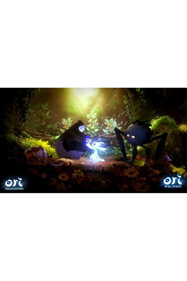 أوري - المجموعة - 5