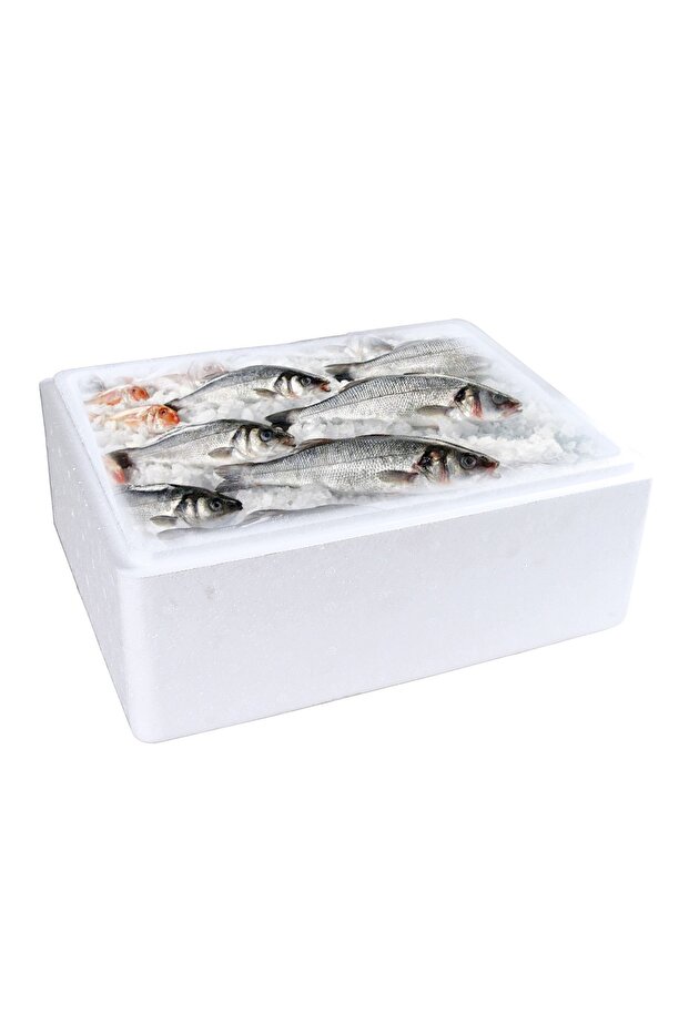 Ice Box Thermocol - 3