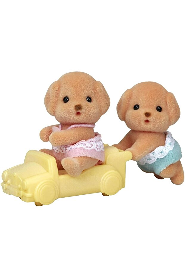 Toy Poodle Twins