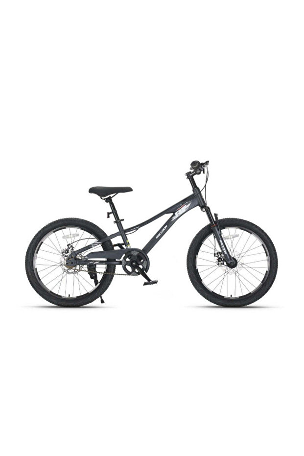 Bicycle 22 Inch Grey