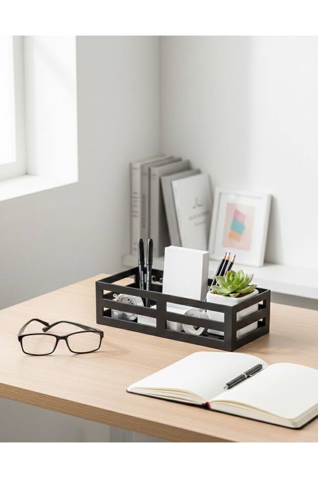 Regulatory Organizer - 2