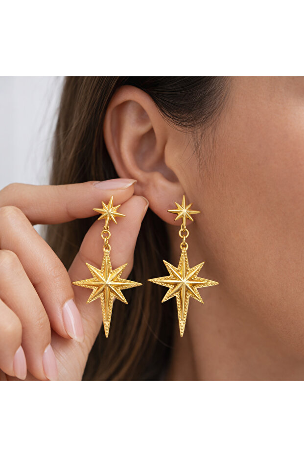 Double Dangle Patterned Pole Earrings - 1