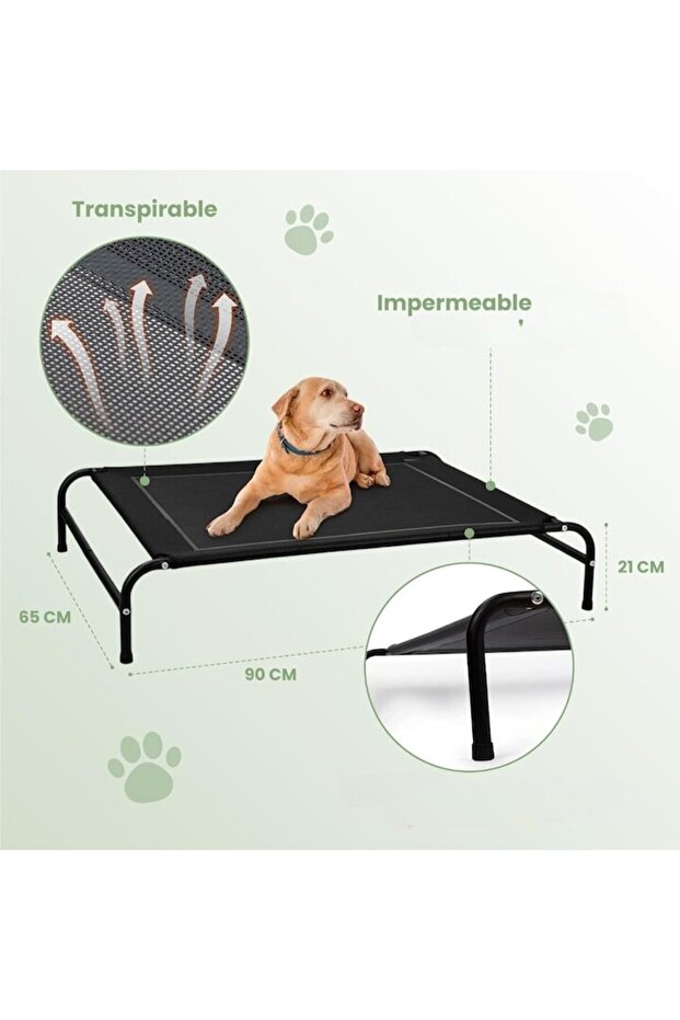 Raised Dog Bed - 2