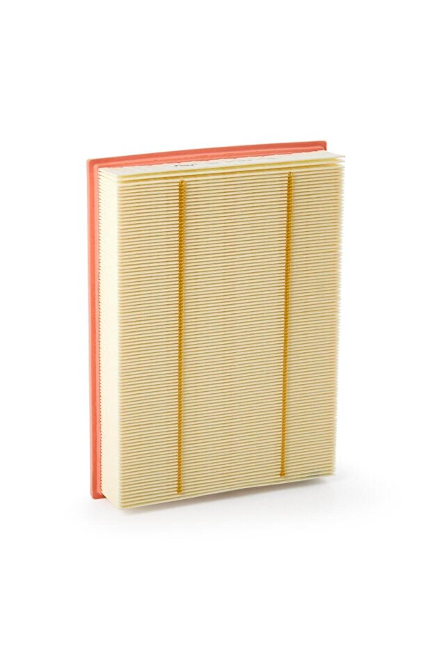 Range Rover engine air filter - 2