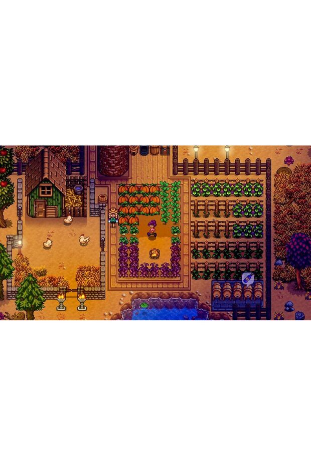 ستاردو فالي - نينتندو سويتش - 3