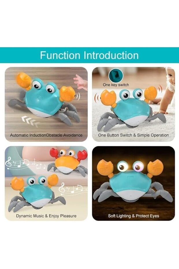 Interactive Crab Toy - 5