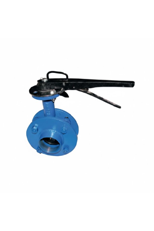Set of Plastic Butterfly Valves 2"