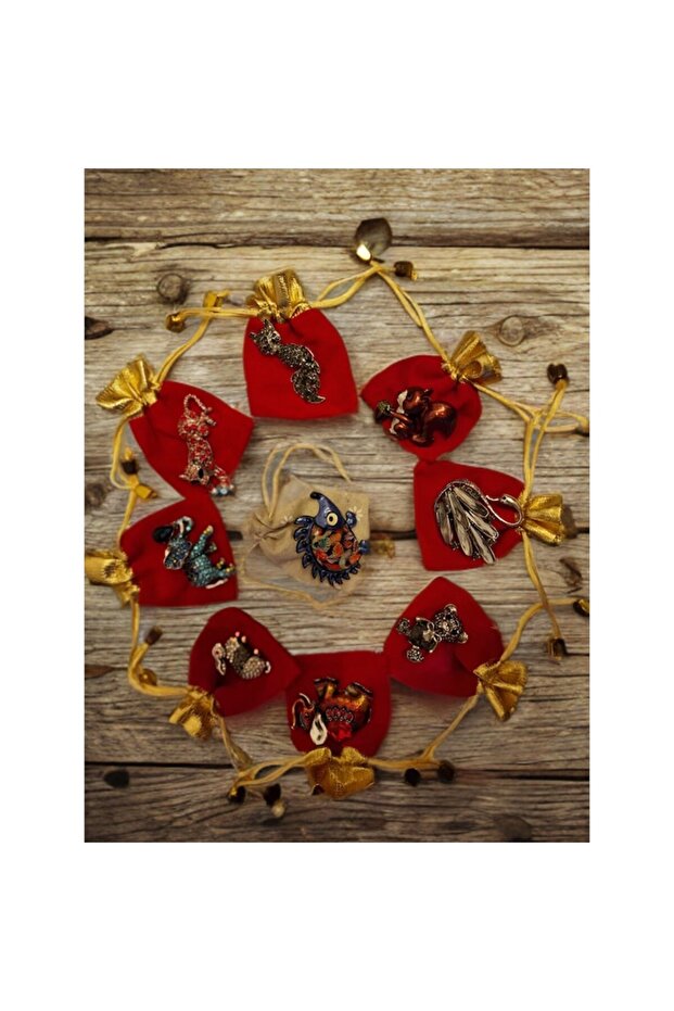 Set de 5 broșe de lux - 2