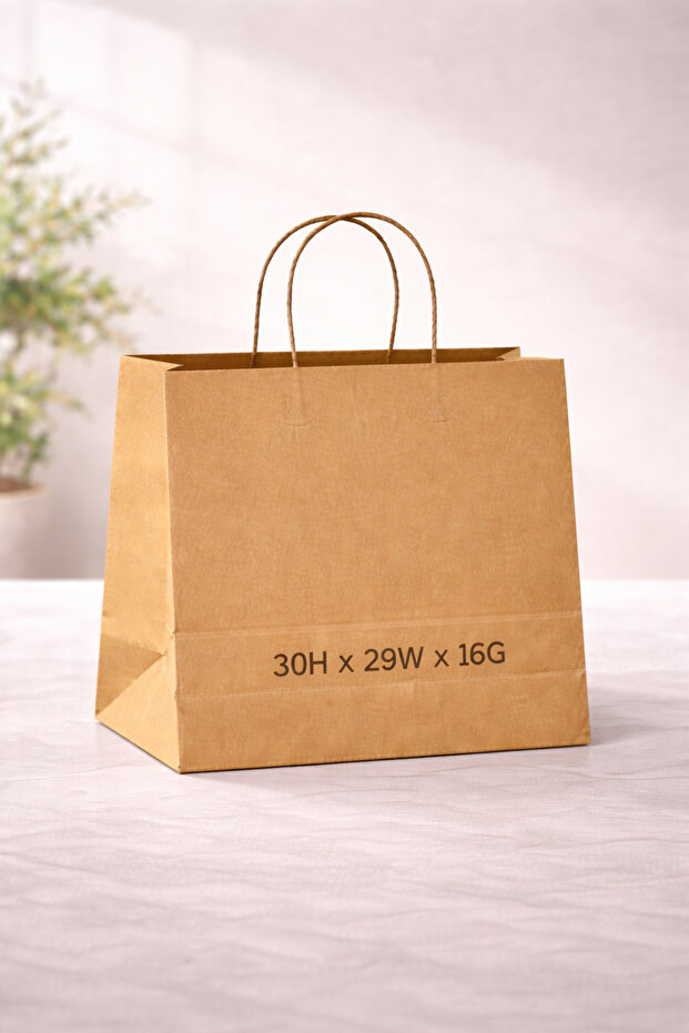 Paper Bag Black Twisted Handle -Medium (34H x 34W x 18G) – 80 GSM – 250 Bags