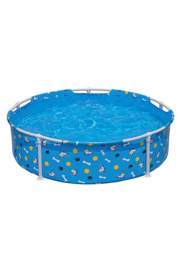 مدرسة فيتشين فن للعب مع الحيوانات الأليفة - 1