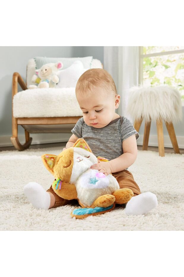 Calming Purrs Kitten - 5