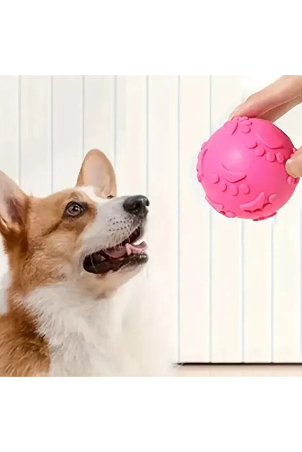 كرة عض الكلاب بنمط مخالب - 3