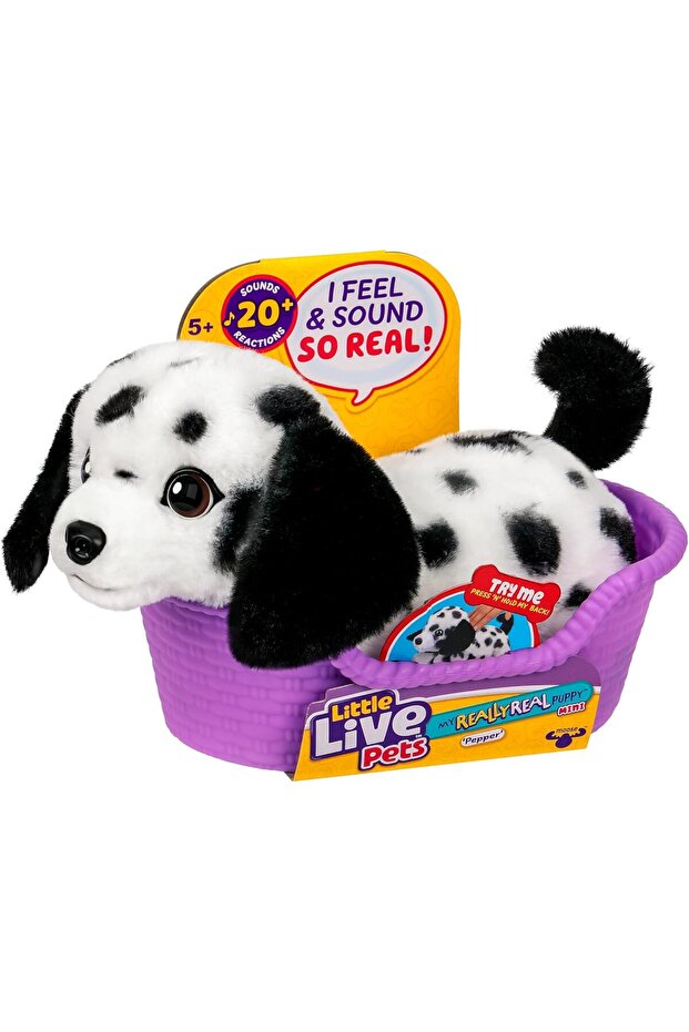 Interactive Puppy Mini with 20 Sounds and Reactions Dalmatian with Display Basket Toy