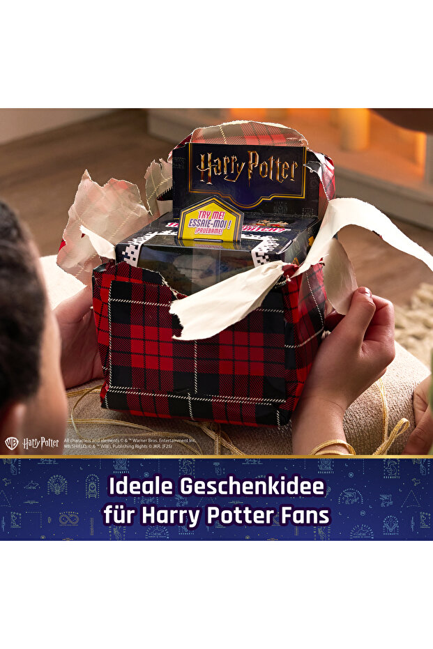 İnteraktif Harry Potter Evcil Hayvan - 5