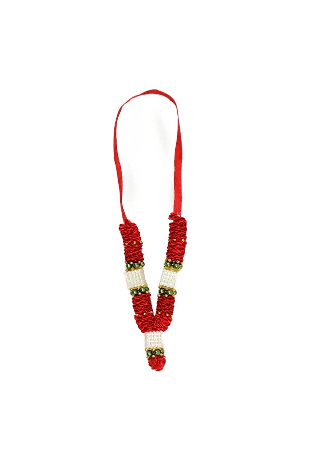 Har 400 Ayurvedic Organic Haritaki Terminalia Chebula Pods