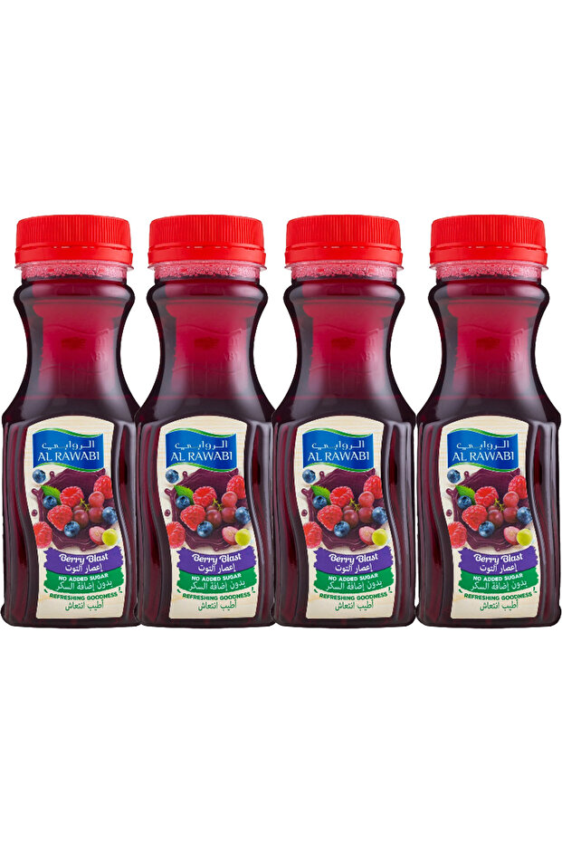 BERRY JUICE 4x200ml