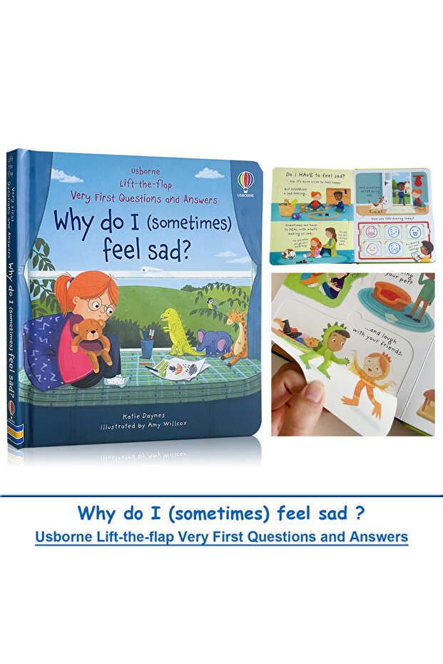 Feel Sad Usborne Lift The Flap Very First Questions & Answers Why Do I (Sometimes)Feel Sad ? Englis