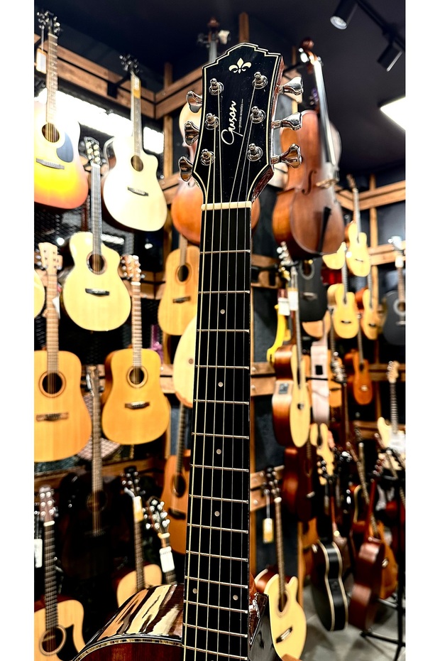 Profesyonel Akustik Gitar - 6