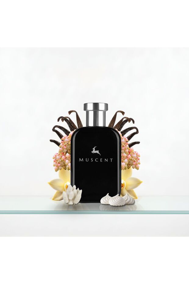 F366 TCrem Cloud 50 ml. - 3