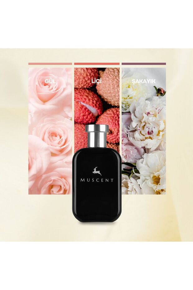 F053 CSignature 50 ml. - 1