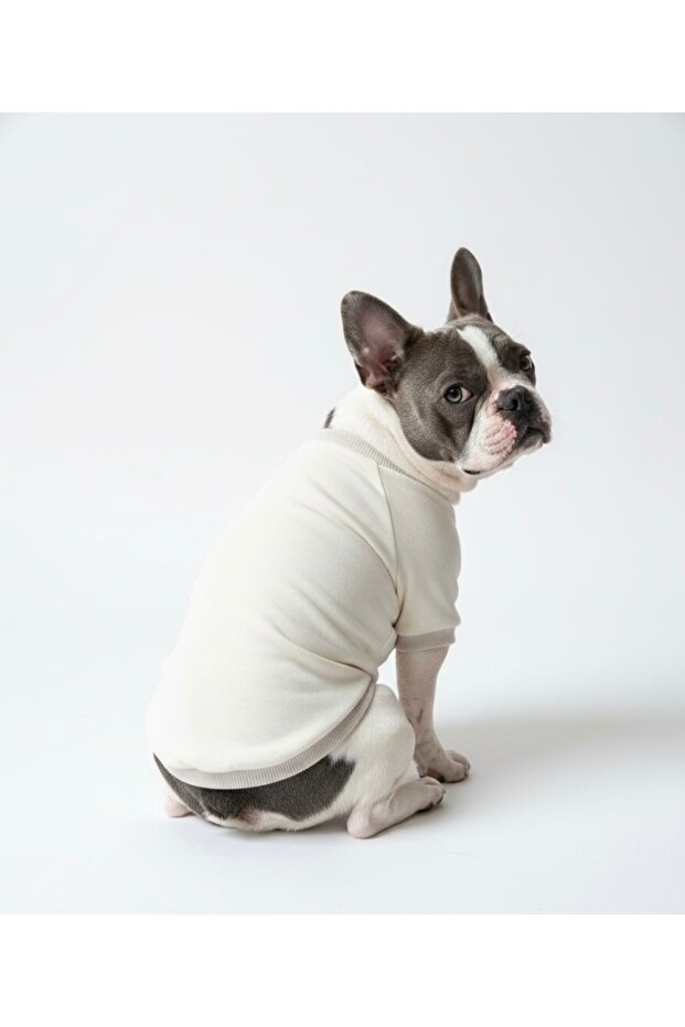 Köpek Kıyafeti Renkli Basic