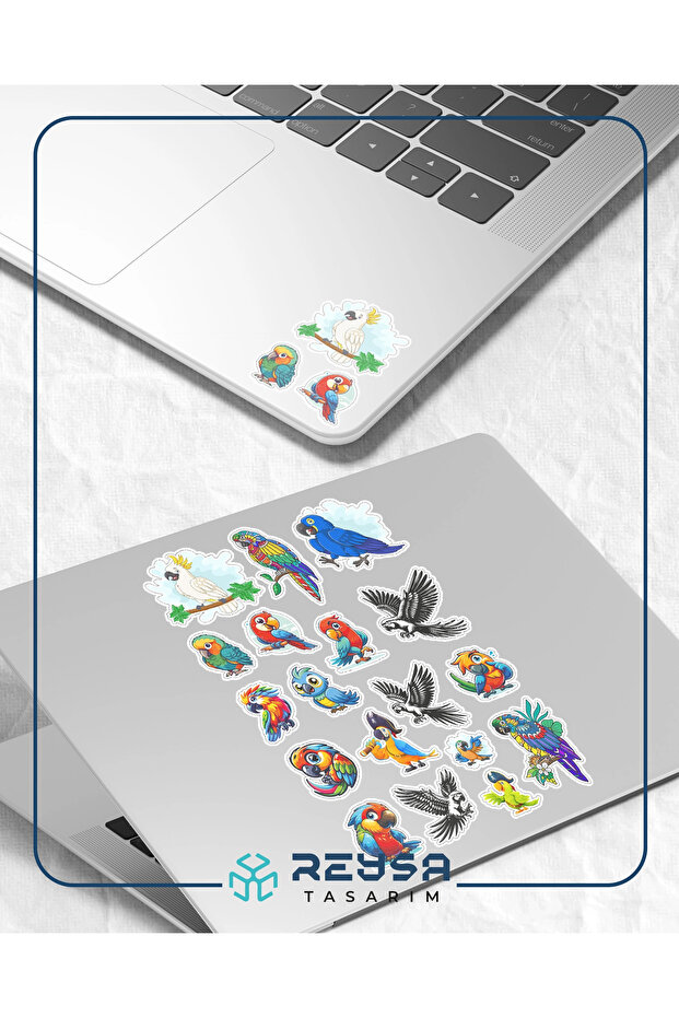 Parrot Patterned Sticker Set - 3