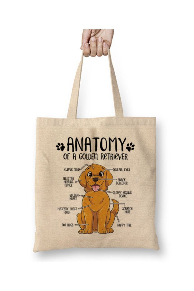 Anatomy of a Golden Retriever Anatomy Dogs Dog Tote Bag Long Handle Shopping Bag Beach Bag