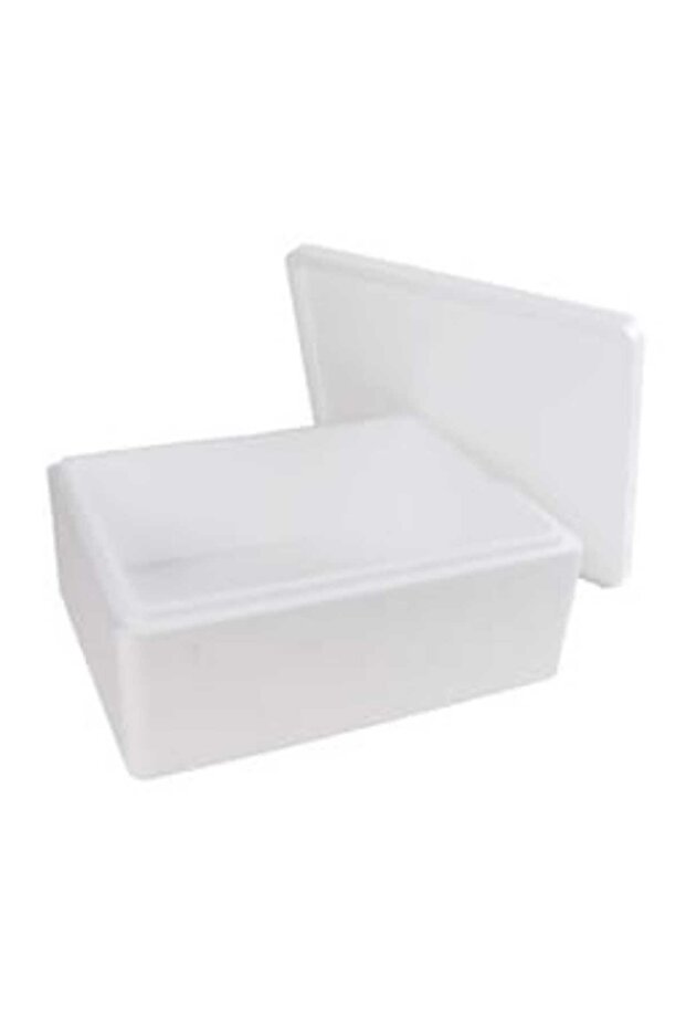 Ice Box Thermocol - 5