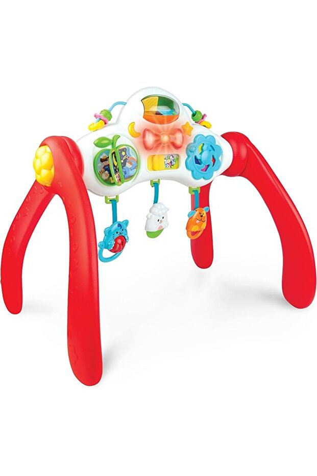Grow-with-Me Melody Gym