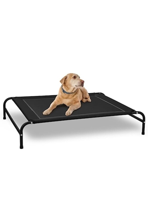 Raised Dog Bed - 1