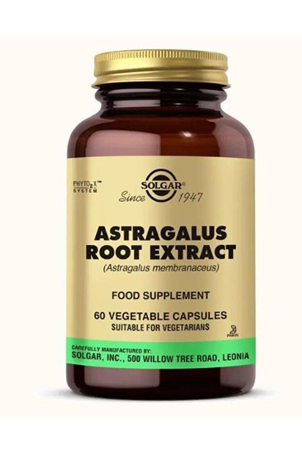 Astragalus Root 60 Capsules - 2