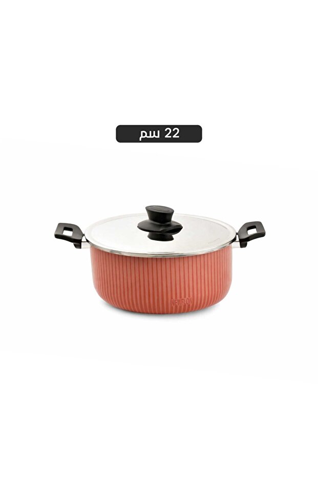 Neoflon 22cm pot with lid