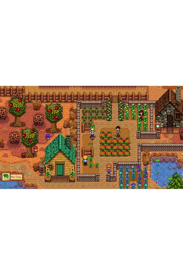 ستاردو فالي - نينتندو سويتش - 6