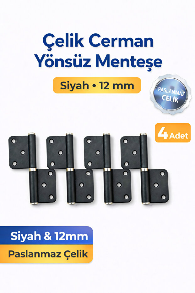 4 Pieces of Steel Cerman Non-Directional Black Door Hinge 12 mm