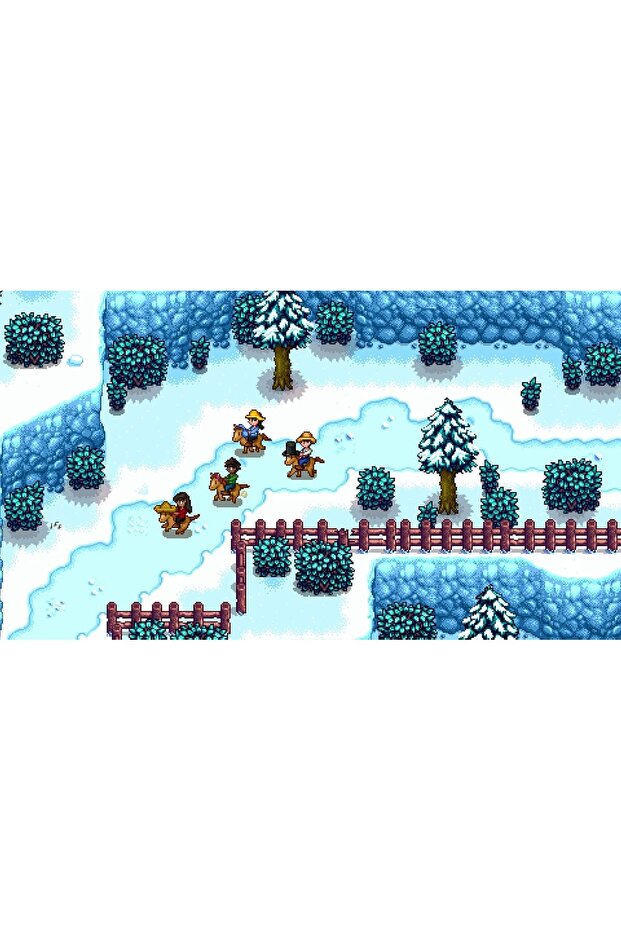 ستاردو فالي - نينتندو سويتش - 4