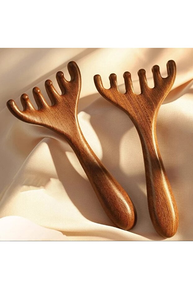 2 pcs Premium Wooden Scalp Massage, Shampoo Brush, Wet and Dry, Scalp Massager for Reduces Dandruff