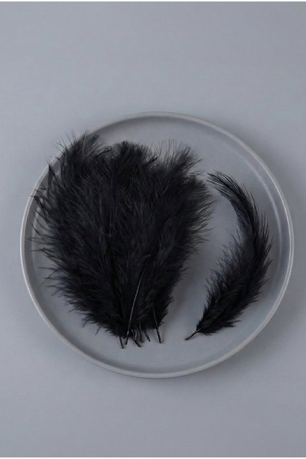 Black Feather 100 Pack Colorful Artificial Decorative Feathers Hobby, Costume, Party and Decoration