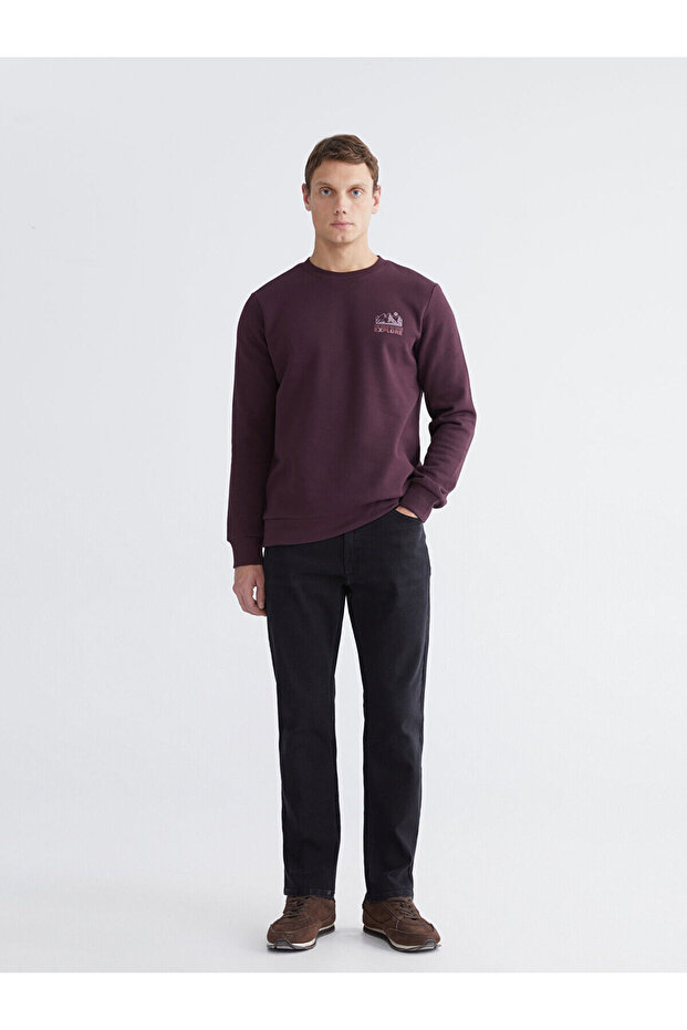 Lcw Jeansblack 779 Regular Fit Men's Jeans