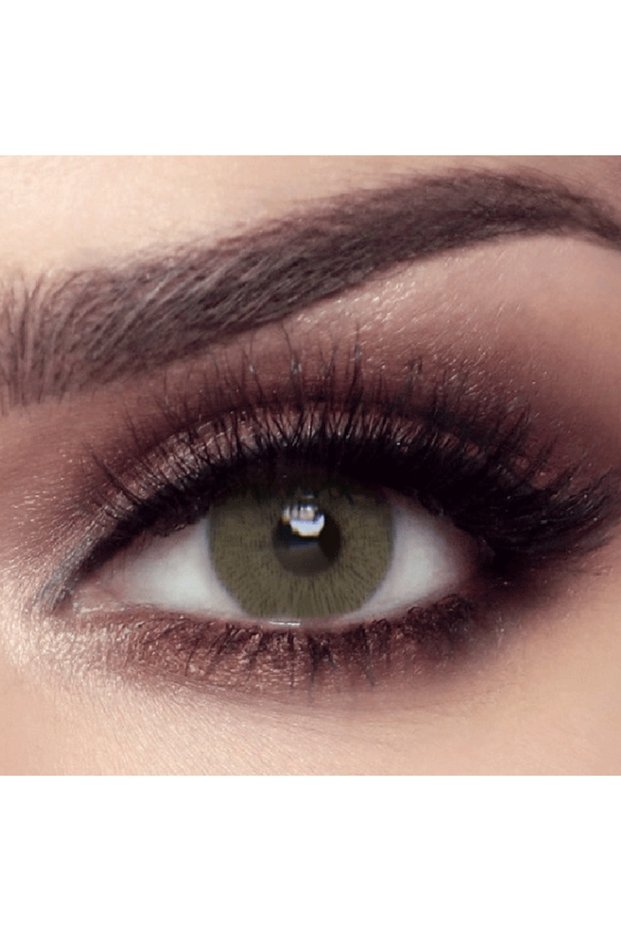 Elite Matt Olive 3 Months Disposable Contact Lenses, Color Contact Lenses, Green Contact Lenses