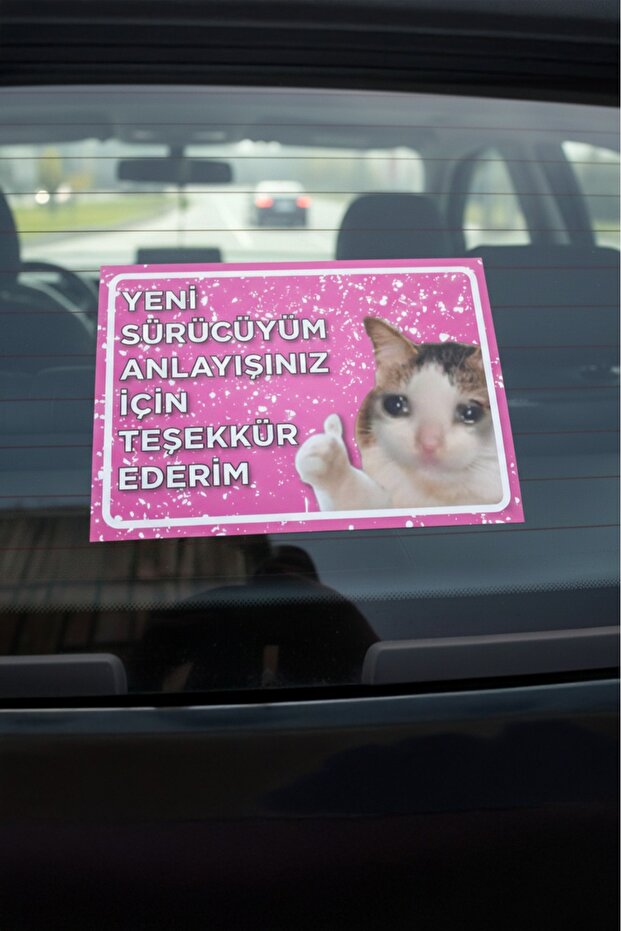 New Driver's License Car Glass Accessory with Suction Cup Cat Theme