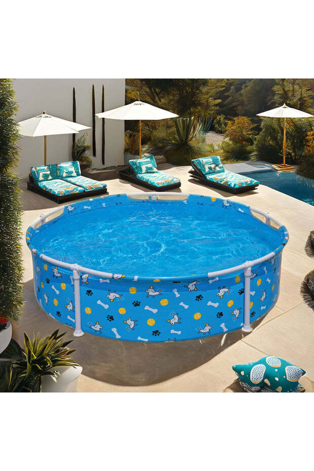 مدرسة فيتشين فن للعب مع الحيوانات الأليفة - 3