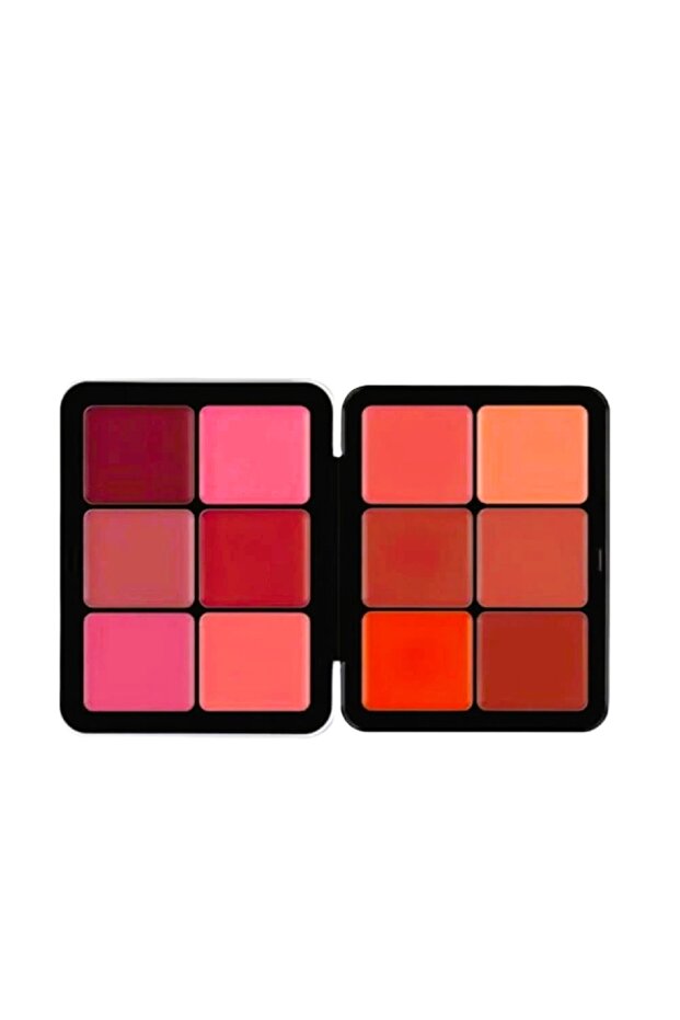 BLUSH PALETTE