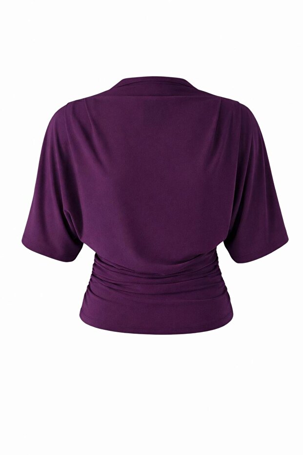 Women's Plum Fitted Bat Sleeve Stretchy Knitted Blouse 0067