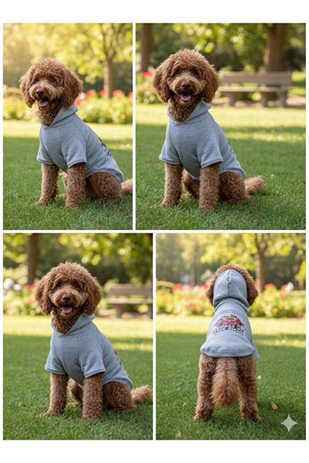 Combed Cotton Printed Sweatshirt Gray
