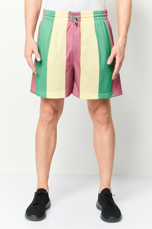 Men Sportswear Fit Drawstring Outdoor Shorts, Multicolor