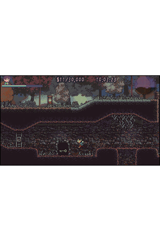 Vremurile bune de altădată - Nintendo Switch - 7