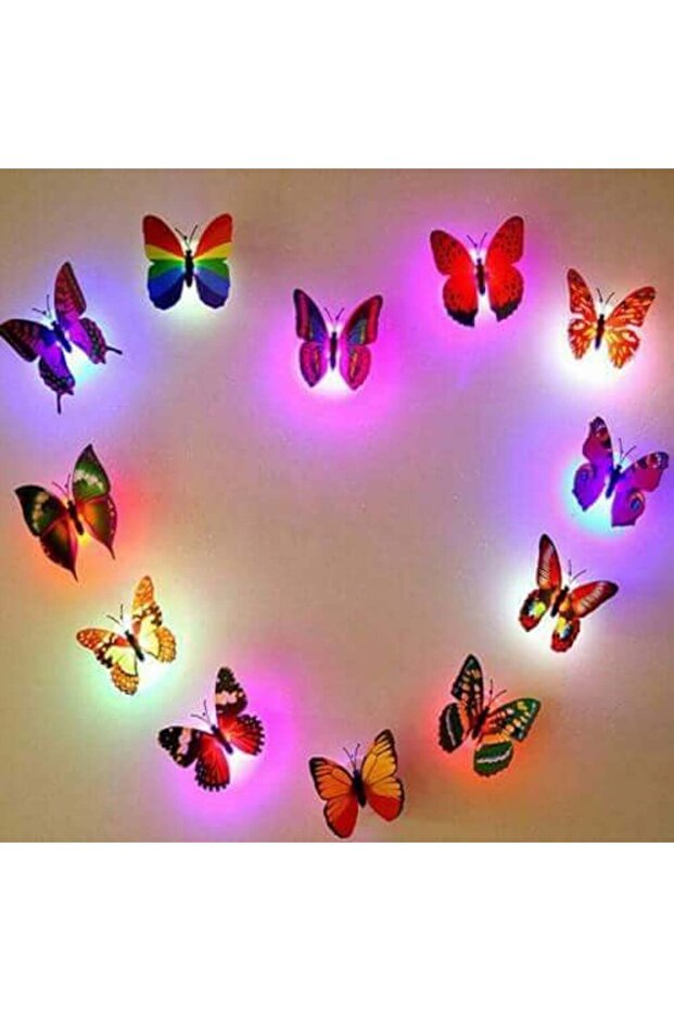 فراشة LED مزدوج الوجه - 1