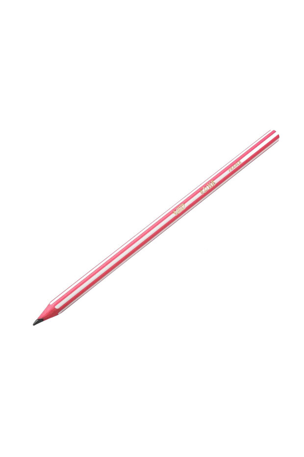 Graphite Pencil HB Without Eraser Evolution Stripes 646 12/Box - 5