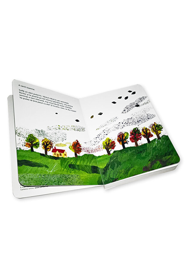 Carle E - Mica sămânță - 4